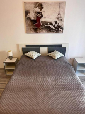 Avantgarden PERFECT Home, Brasov Escape -1 Room Apartment
